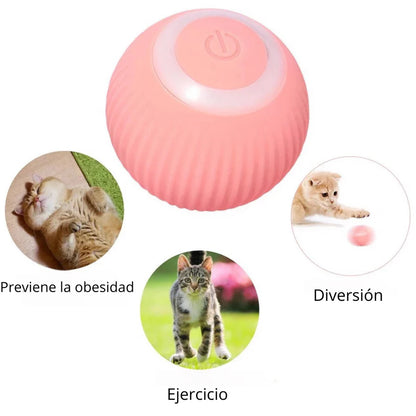 PROMO: Pelota Interactiva para mascotas